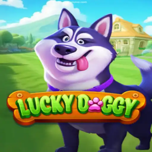 Exploring LuckyDoggy: An Innovative Casino Experience with S11